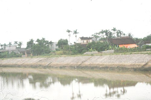 lang-co-dinh.jpg