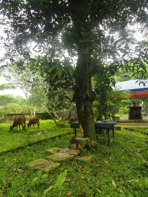9 Le Thi Hien.jpg