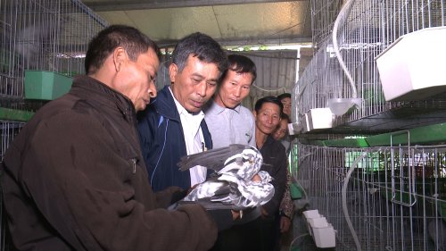 anh 4.jpg