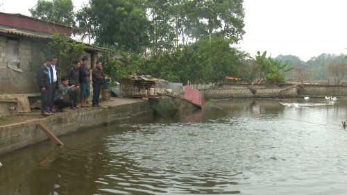 anh 5.jpg
