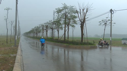 dung 3 (1).jpg