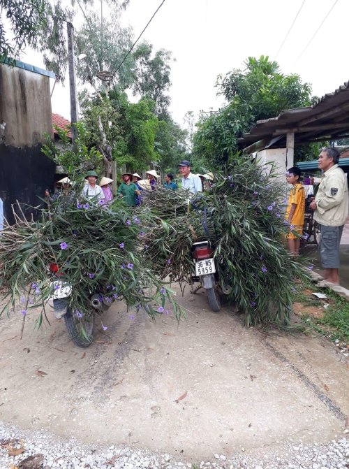 received_505250546573321 (1).jpeg