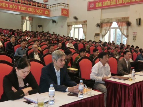 CIMG4810.JPG
