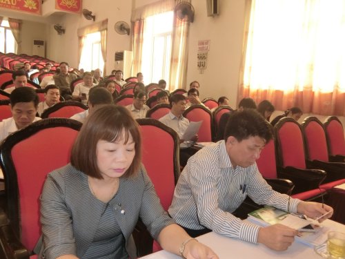 CIMG4907.JPG
