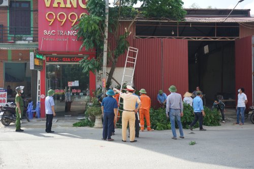 5555.JPG