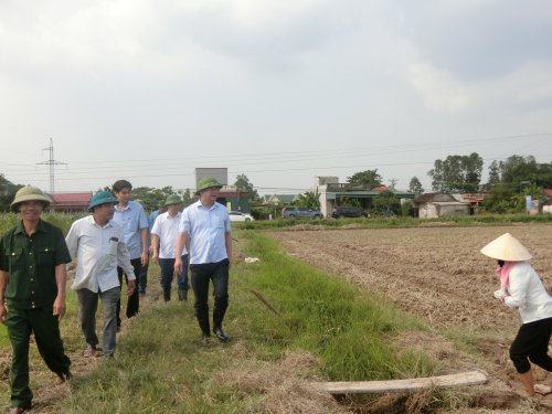 CIMG9489.JPG