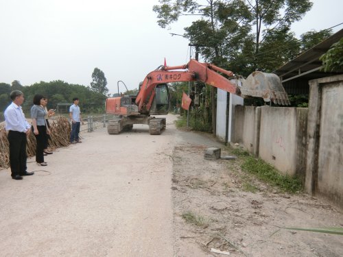 CIMG9655.JPG