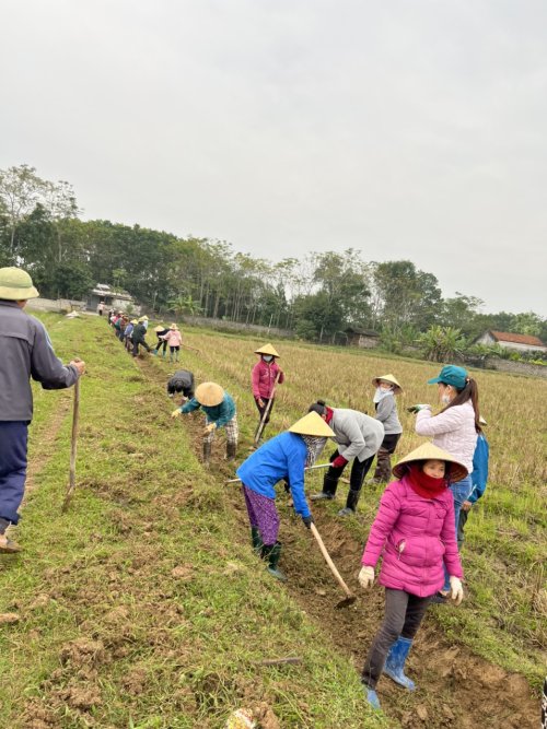 dân lực.jpg