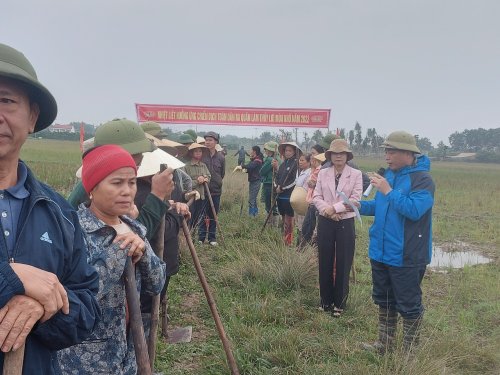 hợp tiến.jpg