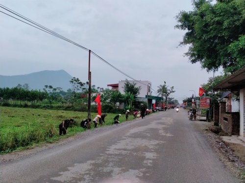 vân sơn.jpg