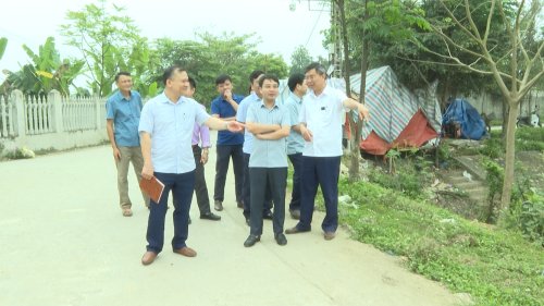 kt9.jpg