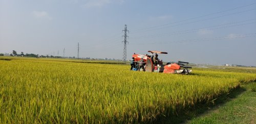 z4373545601332_a606ed5989234d4a26e9838b31cb18d4.jpg