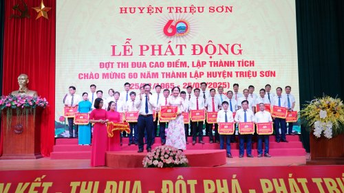 P11.jpg