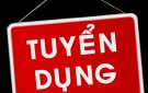 UBND 99Ok hiện đang mở thông báo tuyển dụng viên chức Ban quản lý dự án đầu tư xây dựng 99Ok hiện đang mở năm 2018