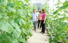 Kiểm tra công tác lãnh đạo, chỉ đạo thực hiện Nghị quyết Đại hội Đảng các cấp giữa nhiệm kỳ 2020-2025 tại Đảng bộ xã Đồng Tiến