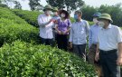 Đồng chí Bí thư Huyện ủy thăm và kiểm tra về tình hình phát triển kinh tế tại xã Bình Sơn, Hợp Lý, Thái Hòa.