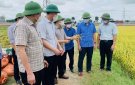 Đồng chí Phó Bí thư Tỉnh ủy Trịnh Tuấn Sinh kiểm tra công tác phòng, chống lụt bão tại huyện Triệu Sơn.