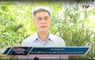 Chương trình TTV "Trang địa phương - Triệu Sơn" phát trên Đài PT - TH Thanh Hoá (18h30