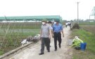 Bí thư Huyện ủy Mai Nhữ Thắng, kiểm tra tình hình sản xuất nông nghiệp và quy trình sản xuất rau an toàn tại xã Tiến Nông