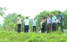 Chủ tịch UBND huyện Kiểm tra thực tế dự án tiêu thoát lũ Sông Nhơm