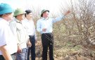 Huyện Triệu Sơn: Sẵn sàng cho Hội chợ Hoa đào Xuân Giáp Thìn năm 2024.