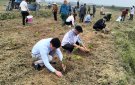       Các địa phương trong huyện hưởng ứng“Tết trồng cây đời đời nhớ ơn Bác”