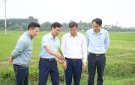 Đồng chí Phó chủ tịch UBND huyện kiểm tra tình hình sản xuất đầu năm