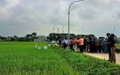 Trung tâm DVNN tổ chức hội thảo đầu bờ mô hình trình diễn giống lúa lai SYN8 vụ chiêm xuân 2023 – 2024 tại xã Thọ Vực