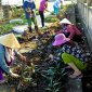 Hội Phụ Nữ xã Thọ Dân phát động phong trào làm vệ sinh môi trường, trồng hoa thay thế có dại