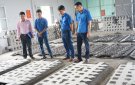 Hiệu quả sử dụng nguồn vốn từ chương trình ưu đãi hỗ trợ thanh niên khởi nghiệp tại xã Thái Hòa, huyện Triệu Sơn