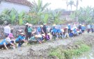 Hội Liên hiệp phụ nữ huyện Triệu Sơn thực hiện mô hình hàng rào xanh 