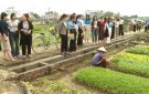 Lớp Bồi dưỡng nghiệp vụ công tác Hội Phụ nữ cấp cơ sở  tỉnh Thanh Hóa tham quan, học tập kinh nghiệm công tác sản xuất rau an toàn tại xã Dân Lý.