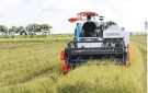 Xã Thọ Phú thực hiện có hiệu quả chương trình xây dựng nông thôn mới 