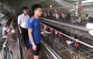 Hội nông dân xã Minh Sơn chú trọng công tác xây dựng, củng cố tổ chức hội vững mạnh