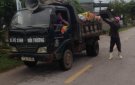 Bài: Xã Thái Hòa với công tác xây dựng đề án thu gom xử lý rác thải đảm bảo môi trường.