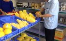 Kết quả công tác xây dựng xã đạt tiêu chí an toàn thực phẩm  trên địa bàn huyện