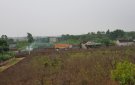  Hiệu quả bước đầu ở xã Vân Sơn trong việc chuyển đổi đất lúa kém hiệu quả sang trồng các cây trồng khác có giá trị kinh tế cao hơn  