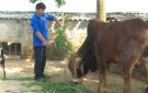 Bí thư chi đoàn Đỗ Trọng Hiếu xã Thọ Cường làm giàu từ mô hình chăn nuôi trang trại tổng hợp