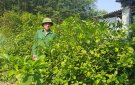Anh Bùi Văn Toán ở thôn 7 xã Thọ Sơn là người có uy tín trong vùng đồng bào dân tộc thiểu số