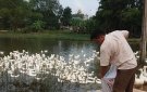 Kết quả triển khai thực hiện các chỉ tiêu đảm bảo an toàn thực phẩm trên địa bàn huyện 6 tháng đầu năm 2019