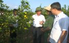 UBND huyện tổ chức đoàn tham quan học tập mô hình tích tụ ruộng đất, chuyển đổi cây trồng tại huyện Khoái Châu, tỉnh Hưng Yên và huyện  Thanh Hà, tỉnh Hải Dương        