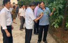 UBND huyện tổ chức thăm quan học tập kinh nghiệm mô hình cây ăn quả tại tỉnh Hòa Bình và tỉnh Sơn La.