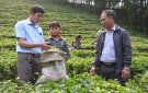 Tấm gương điển hình tiên tiến trong phong trào xây dựng sản phẩm "OCOP" ở huyện Triệu Sơn.