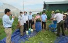 Hội nghị tập huấn, triển khai mô hình thu gom, phân loại và xử lý rác thải hữu cơ thành phân bón tại hộ gia đình và cộng đồng dân cư