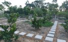      Hội Nông dân xã Đồng Lợi tích cực tham gia xây dựng nông thôn mới nâng cao