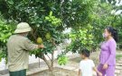 Xã Đồng Lợi thực hiện tiêu chí vườn hộ trong xây dựng xã nông thôn mới nâng cao