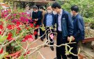 Đoàn thẩm định NTM huyện thẩm định thôn NTM kiểu mẫu tại thôn Lọc Trạch xã Đồng Lợi và thôn 7 xã Vân Sơn.