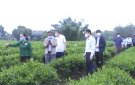 Huyện Triệu Sơn tổ chức tham quan, học tập kinh nghiệm phát triển kinh tế tại tỉnh Thái Nguyên và tỉnh Bắc Giang