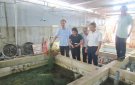 Hội Nông dân xã Hợp Thắng ra mắt Hợp tác xã dịch vụ nuôi lươn không bùn 
