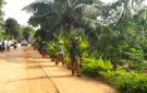Xã Minh Sơn xây dựng tuyến đường “Hàng cau nông dân”.